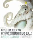 Das geheime Leben von Oktopus, Seepferdchen und Qualle. David Liittschwager