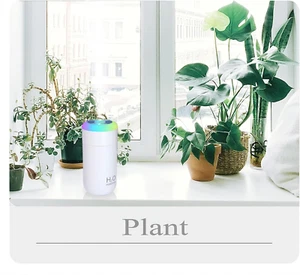 Plant Humidifier indoor, 350ml Humidifier for plant, desk, portable, travel (... - Picture 1 of 12
