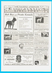 1905 Dog St Bernard Bloodhound Terrier Collie multiple print ads on one page - Picture 1 of 1