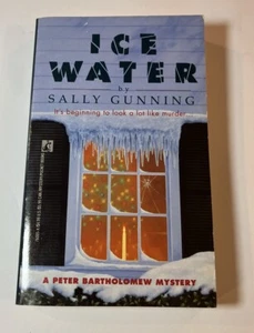 Ice Water Mass Market Paperback Sally Gunning - Free Aus Post! Good Condition - Picture 1 of 4