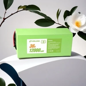 New 36V 12AH Battery lithium green ebike battery pack with charger - Picture 1 of 8