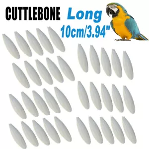 Cuttlebone 3,94" largo hueso de sepia sepia settle pez pájaro MEJORES alimentos calcio - Imagen 1 de 25