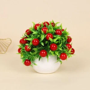 Mini Roses Flower Potted Small Fruit Tree Potted For Home Room Garden Hotel - Picture 1 of 13