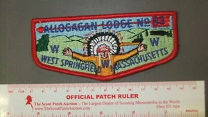 Boy Scout OA 83 Allogagan flap 2537II - Bild 1 von 1