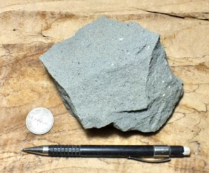 graywacke - muestra de mano espécimen de un gris gris gris del Cretácico Superior - Imagen 1 de 3