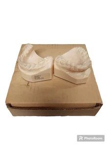 Dental Corp of America Art Molds Old Vintage Dentist Teeth 1980 Full Set Oddity - Picture 1 of 3