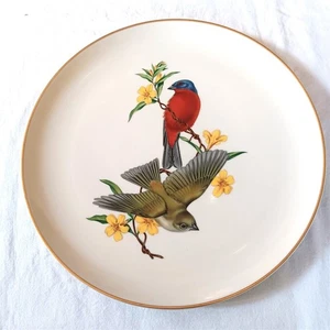 Plato de China de Siracusa American Song Birds Menaboni pintado banderín y jazmín  - Imagen 1 de 3