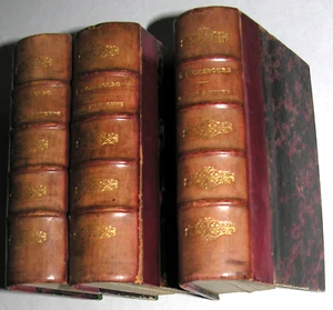 Les Soirées Amusantes. Richebourg Contes du Primtemps. Soc. Gens de Lettres 1875 - Picture 1 of 3