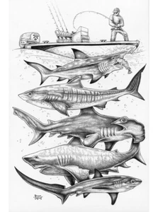 Hammerhead Great White Shark Fishing Boat Fine Art Print by Bryan Collins SIGNED - Picture 1 of 5