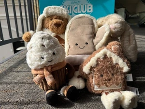 Jellycat Exclusive Bear Alpine + Franilla L Bunny+ Mitten+ Hot Chocolate+ Cookie - Picture 1 of 6