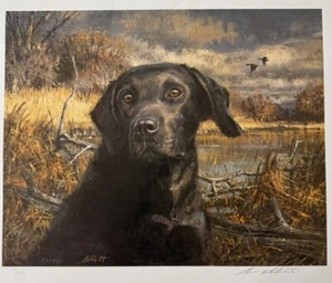 “Labrador Retriever” Sporting Dog Print By Robert K. Abbett S/N 39/1050 W/Stamp - Picture 1 of 7
