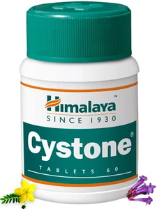 Cystone by Himalaya Relief from Kidney Stones 60 tablets Free Delivery 2026 Exp. - Picture 1 of 15