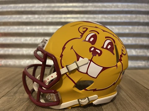 Custom Minnesota Gophers (2017 Vs middle Tennesse State) Speed Mini Helmet Cover