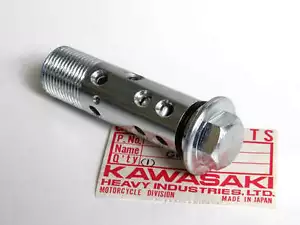 Kawasaki Oil Filter Bolt el250 ex250 ninja 250r kz1100 kz1000 kz650 zrx1200 oem - Picture 1 of 1