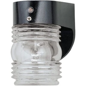 Westinghouse Lighting 6694900 One-Light Exterior Jelly Jar Wall Lantern with - Picture 1 of 2
