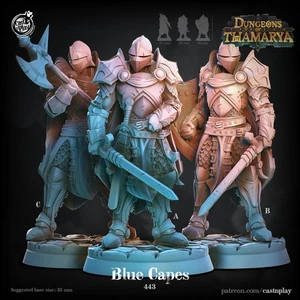 Blue Capes Hero Knight Paladin Fighter Royal Guard Miniatur | D&D DnD - Bild 1 von 1