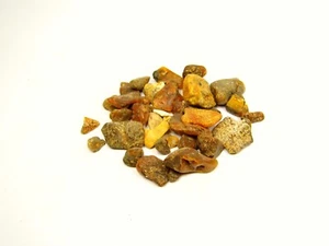 Lot of Baltic Amber Raw Stones Small Multicolor Natural Gemstones 6768 - Picture 1 of 7