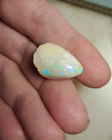 Very Colorful Large Opalized Clam Shell Fossil Opal Blue, Green & Purple Flashes