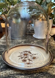 Large Vintage Hand Blown Glass Dome Cloche Terrarium Display 10” (No Base) - Picture 1 of 7