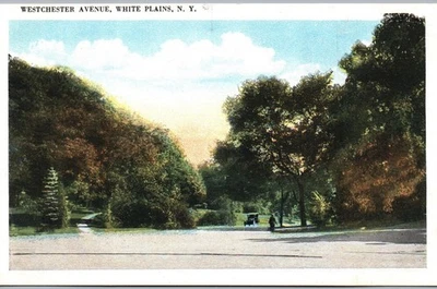 White Plains, New York - Westchester Avenue Street View Postcard - Image 1 of 2