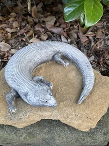 Blue Tongue Lizard Statue Ornament Animal Cement Concrete Garden Australian Made - Picture 1 of 8