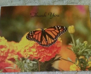 PAQUETE DE 25 TARJETAS POSTALES IMPRESAS DE GRACIAS MARIPOSA Y DISEÑO FLORAL DE 25 NUEVAS - Imagen 1 de 2