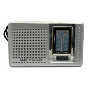 Portable DPS Music Player Radio Dual Band AM FM Pocket Pointer Radio 88-108MHz - Picture 1 of 9