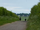 Photo 6x4 Byway, Row Down Upper Lambourn Riders on a byway open to all tr c2016