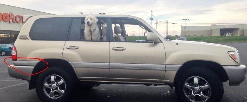 98-04 Toyota Land Cruiser Right Passenger Rear Exterior Body Molding OEM P5 - Image 1 of 4