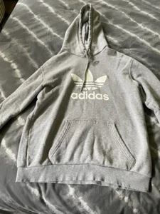 Adidas Mens Graphic Hoodie Sweatshirt Long Sleeve Pocket Logo Gray Size Small - Picture 1 of 2