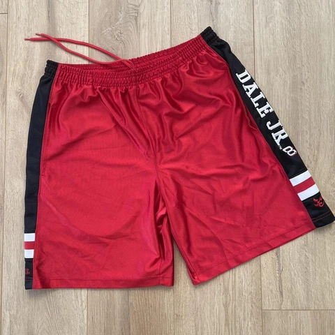Vintage Dale Earnhardt Jr.  shorts NASCAR Large Black  Red Y2k Racing EUC Cover