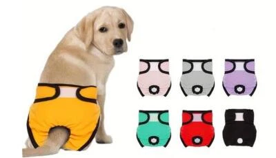 XS - XL Hundewindel Waschbar Hygienehose Schutzhose Läufigkeit 2 Farbig  u Bunt - Bild 1 von 4