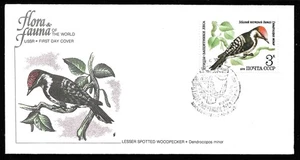 Enveloppe premier jour Lesser Spotted Woodpecker - Oiseau Bird USSR Mockba 1979 - Picture 1 of 2