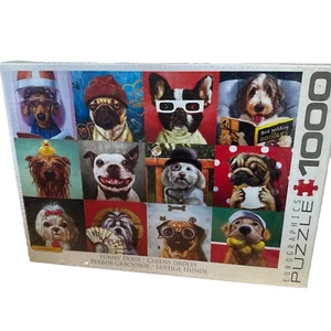 New! Funny Dogs 1000 piece jigsaw puzzle 680mm x 480mm Super Cute! - Picture 1 of 8