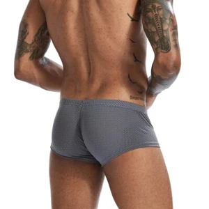 Sexy Fashion Men's Boxer Briefs Mesh Breathable Comfortable Underwear Panties - Picture 1 of 16