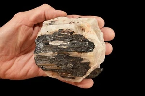 SCHWARZER TURMALIN QUARZ 3 1/2" 2 Pfund 2 Unzen Gestein Mineral Probe Chakra Heilung - Bild 1 von 1