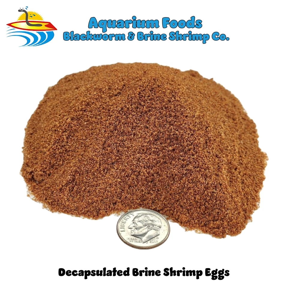 DECAPSULATED BRINE SHRIMP EGGS - DECAPSULATED ARTEMIA CYSTS - NON HATCHING - Image 1 of 1