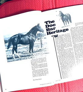 1979 QUARTER HORSE Journal - "DOC BAR" 10 PAGE ARTICLE + PHOTOS! - DOC'S LYNX - Foto 1 di 23