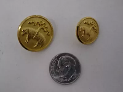 Gold Brooks Brothers Golden Fleece D-Shank Button 15mm 20mm Lot of 2, 4 or 40 - Image 1 of 4