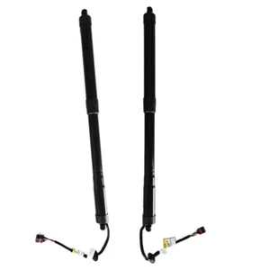 Rear L& R Electric Power Tailgate Lift Support For 2013-2019 Hyundai Santa Fe - Picture 1 of 5