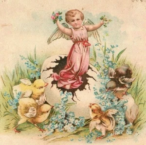 C.D. Kenny Tea & Coffee Large Die Cut Trade Card Easter Angel Hatching from Egg - Imagen 1 de 3