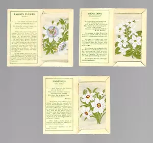 CIGARETTE/CARDS. Kensitas Tobacco. SILK FLOWERS. (1st Series).(3 Cards). (1934). - Picture 1 of 1