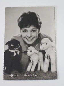 Filmstar-Fotopostkarte: Barbara Frey (Kolibri-Verlag Nr. 1285) - Picture 1 of 2