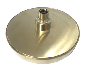 Pfister 973-241BG Replacement Shower Head for Contempra shower Trim LG89-7NCBG - Picture 1 of 5