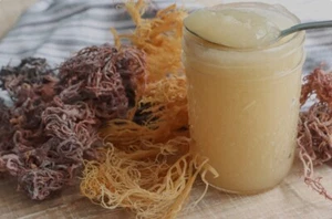 Raw Organic Irish Sea Moss Gel 380ml - Wildcrafted Rich Superfood - Picture 1 of 6