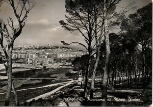 sa 22 Anni 50 CAGLIARI Panorama da Monte Urpino - VG Edizione Bromofoto Milano - Imagen 1 de 1