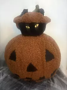 Pottery Barn Peek-A-Boo Black Cat Pumpkin-Jack O’ Lantern Pillow-Halloween-NWT - Picture 1 of 6