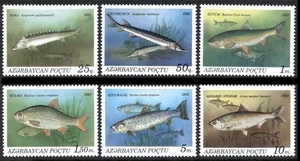 Azerbaiyán 1993 * Peces del Mar Caspio * FAUNA * Juego completo de 6 sellos * MNH - Imagen 1 de 2