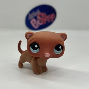 FERRET #334 - Authentic Littlest Pet Shop - Hasbro LPS - Picture 1 of 4
