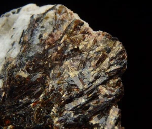 ASTROPHYLLITE lustrous crystals - Russia KOLA - Khibiny - Eveslogchorr Mt /pk908 - Picture 1 of 13